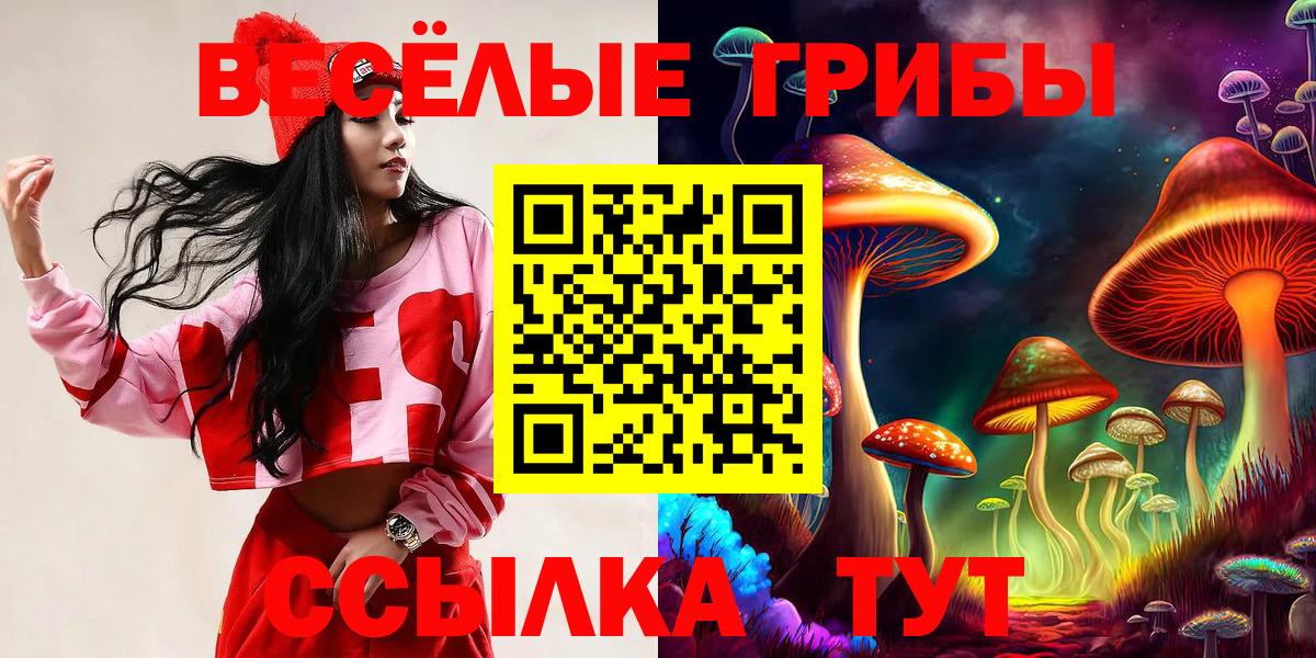 Псилоцибиновые грибы Psilocybe  Псилоцибиновые грибы прущие грибы  цена   Вход с VPN  Ивантеевка 
