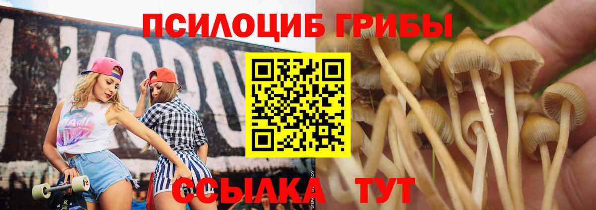 Ивантеевка  Вход с VPN  Меф МЯУ МЯУ   LSD-25  Марихуана  МЕФ  НБОМе 